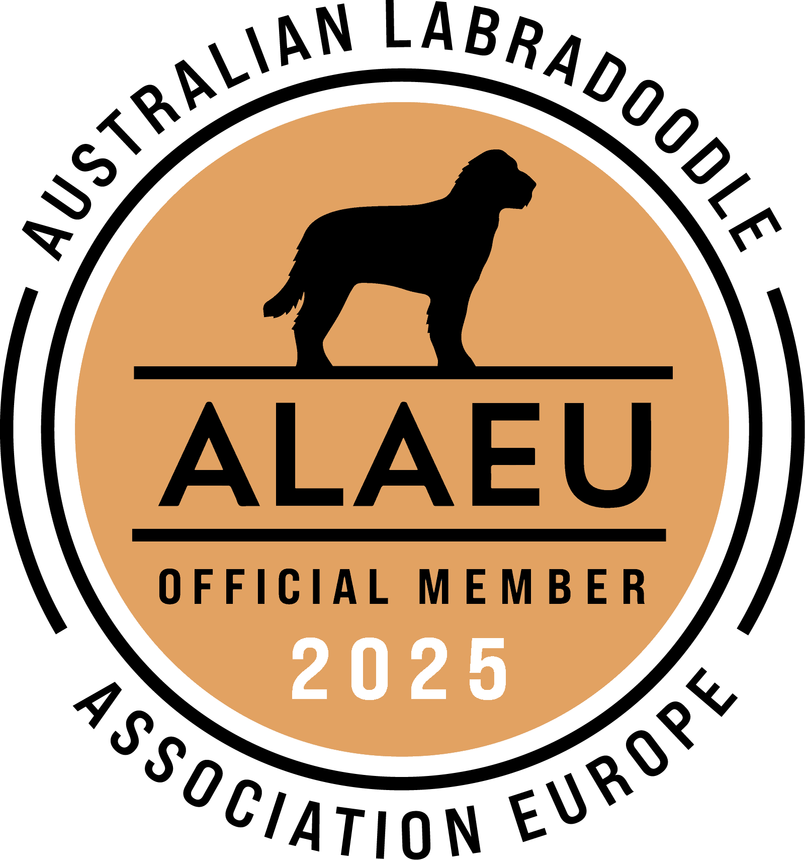 alae